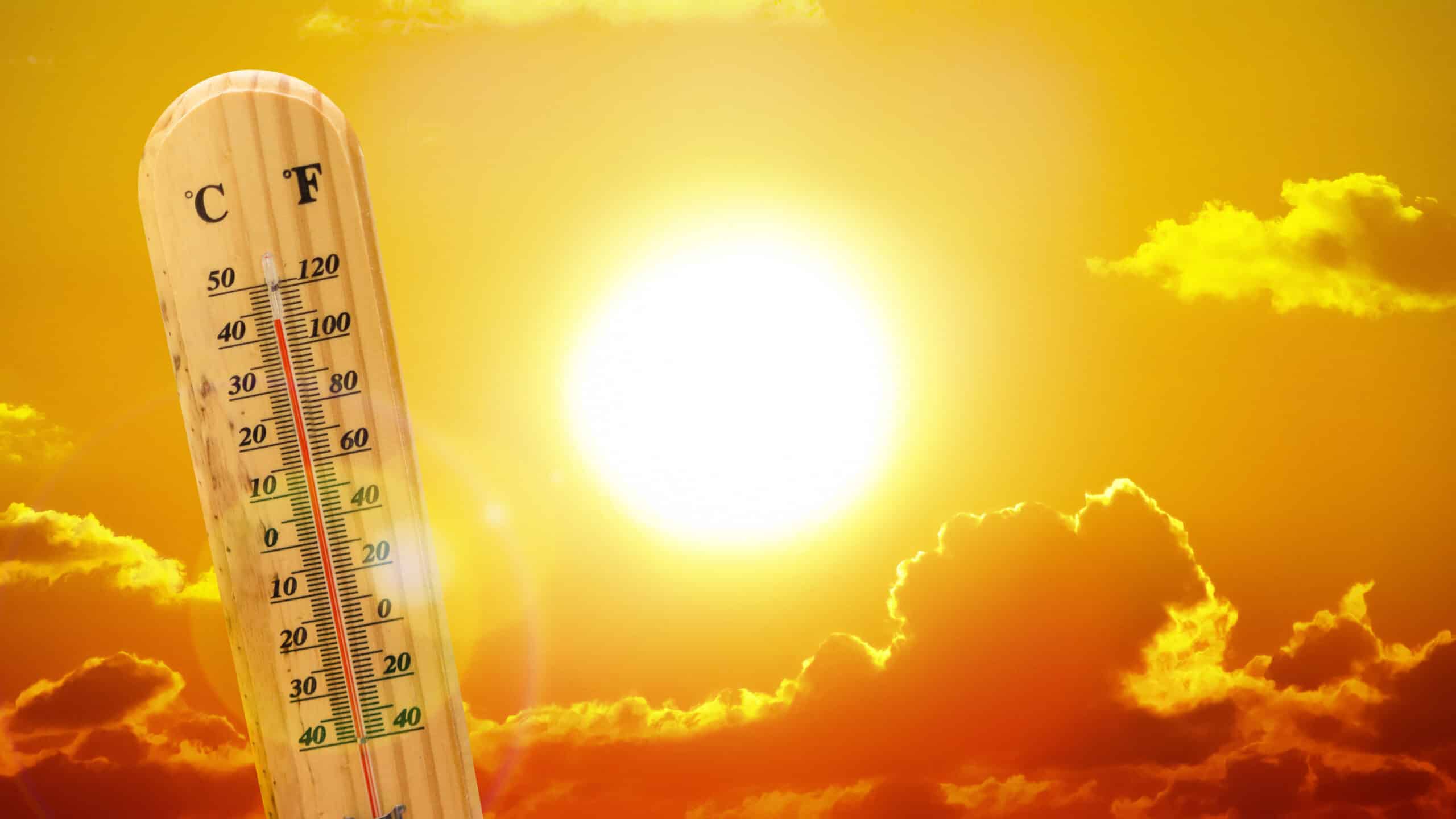 BEAT THE HEAT: SUMMER HYDRATION AND PREVENTING HEAT EXHAUSTION IN SOUTHWEST FLORIDA
